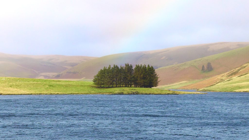 Liam Goodyear - The end of the rainbow