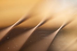 guitar strings